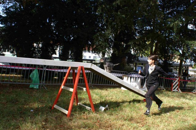 foire-haricots 2011-09-17et18